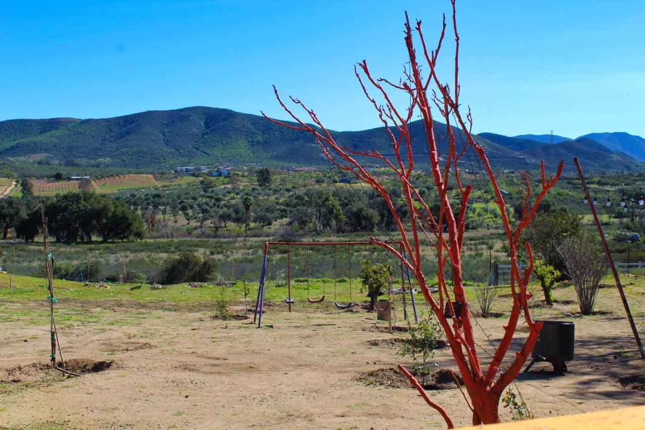 Rancho Matalote En Valle De Guadalupe Εξωτερικό φωτογραφία
