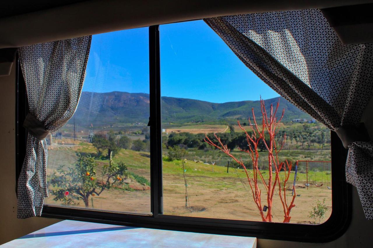 Rancho Matalote En Valle De Guadalupe Εξωτερικό φωτογραφία