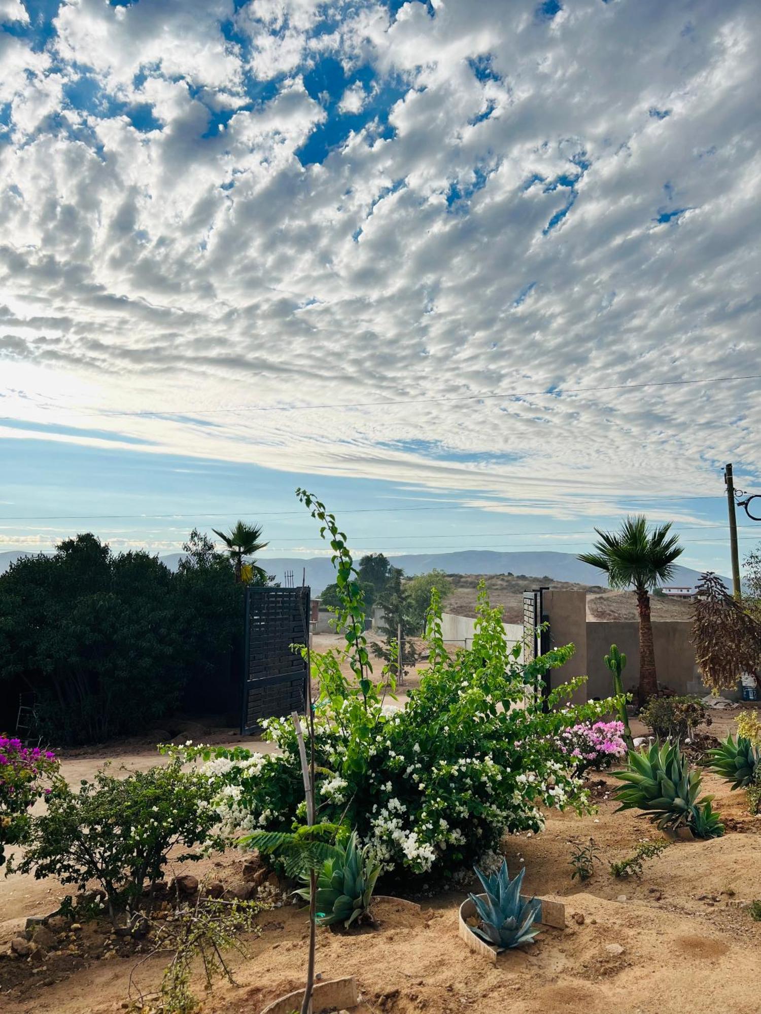 Rancho Matalote En Valle De Guadalupe Εξωτερικό φωτογραφία