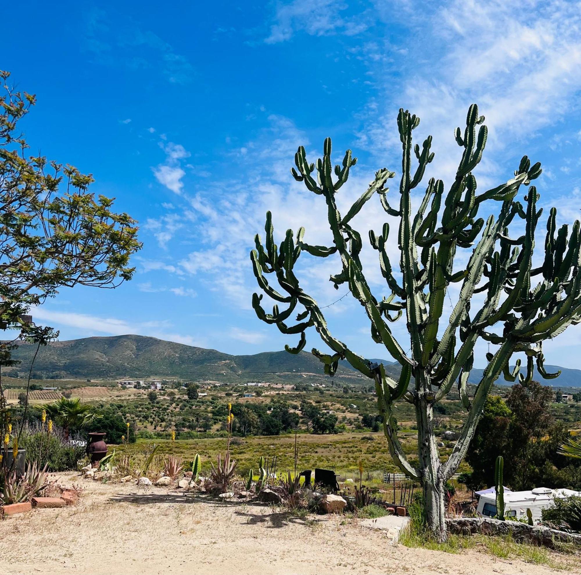 Rancho Matalote En Valle De Guadalupe Εξωτερικό φωτογραφία